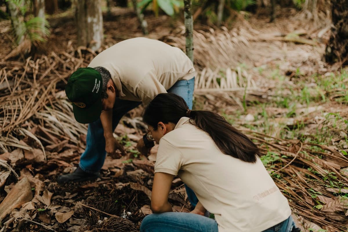 Rehabilitación ambiental progresiva en operación CLADABEYA