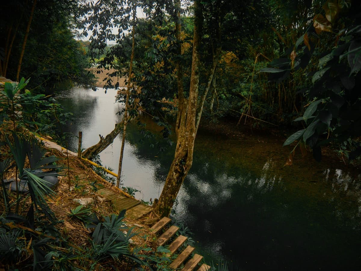 Gestión ambiental en Amazonía — control de sedimentos y rehabilitación en Huepetuhe