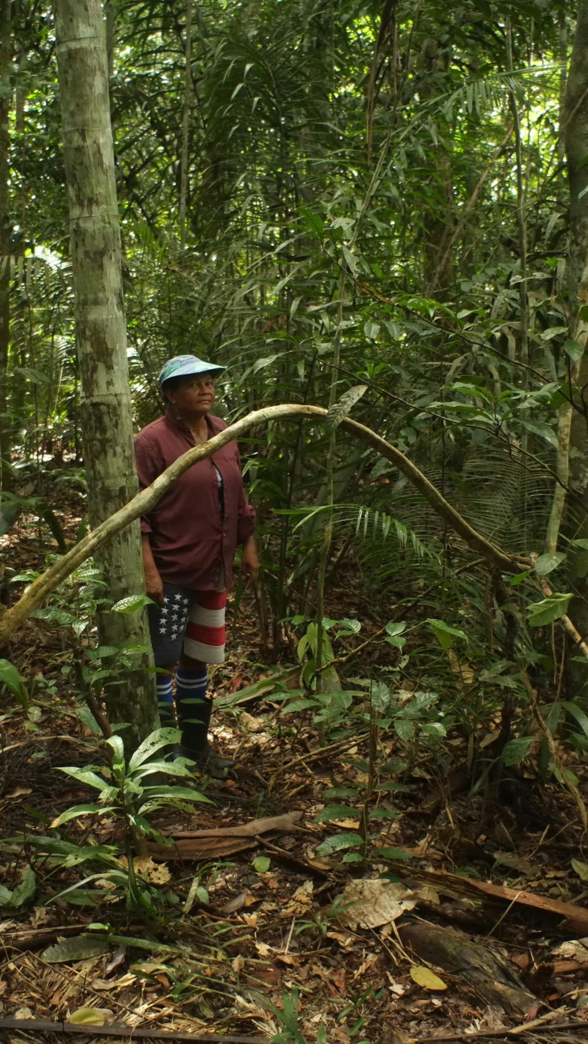 Proyectos sociales CLADABEYA — empleo local en Huepetuhe, Madre de Dios
